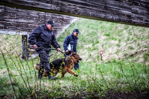 Egzamin psów policyjnych