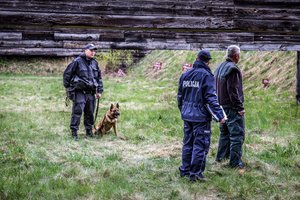Testy psów policyjnych