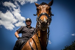 policjant siedzący na koniu