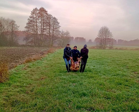 Akcja poszukiwawcza.