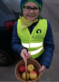 uczeń z SP nr 9 w Kutnie z koszykiem jabłek