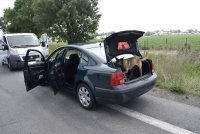 przeszukiwany pojazd z udziałem psa od narkotyków