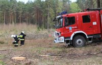kolorowe zdjęcie przedstawiające las, wóz bojowy strażacki oraz strażaków w trakcie akcji gaśniczej