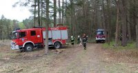 kolorowe zdjęcie przedstawiające las, wóz bojowy strażacki oraz strażaków w trakcie akcji gaśniczej