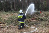 kolorowe zdjęcie przedstawiające strażaka gaszącego pożar lasu