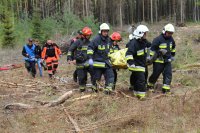 kolorowe zdjęcie przedstawiające las, strażaków, ratowników medycznych udzielających pomocy poszkodowanemu