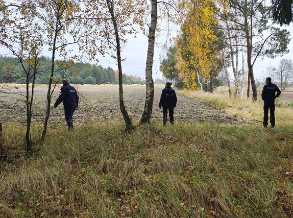 widzimy policjantów przeczesujących teren.