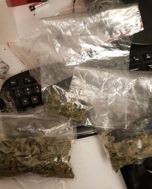 marihuana zabezpieczona przez policjantów popakowana w foliowe torebki