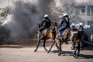 Policjanci na koniach podczas atestacji