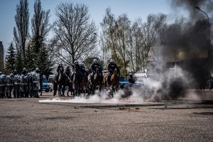 Policjanci na koniach podczas atestacji