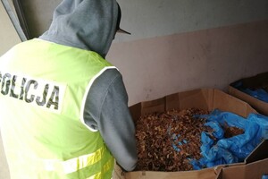 Pomieszczenie z linią do produkcji papierosów, policjant w żółtej kamizelce zabezpiecza pudło kartonowe z tytoniem.