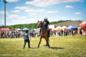 Policjant na koniu w trakcie pokazu.