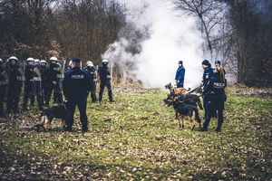 szkolenie przewodników psów służbowych , na zdjęciu funkcjonariusze Oddziału Prewencji Policji w Łodzi i przewodnicy ze  swoimi czworonożnymi towarzyszami.