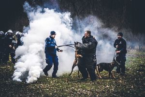 atak na pozoranta podczas szkolenia psów służbowych.