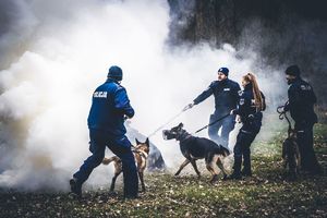 szkolenie psów służbowych, przewodnicy z psami przed zasłoną dymną.