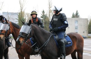 Policjant na koniu, obok funkcjo9nariuszka Straży Miejskiej na koniu.