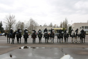 Policjanci i funkcjonariusze Straży Miejskiej na koniach stoją w jednym rzędzie.
