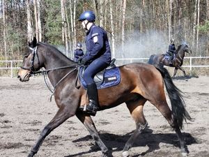 Policjanci na koniach.