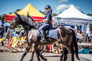 policjantka na koniu.