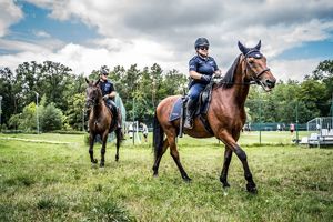 Pokaz koni służbowych policji  i straży miejskiej.