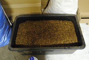 zabezpieczona krajanka