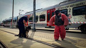 Policjant z psem służbowym podczas pozorowanego ataku w tle wagon pociągu.