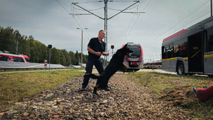 Policjant z psem służbowym podczas pozorowanego ataku w tle wagon pociągu.