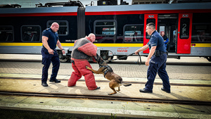 Policjant z psem służbowym podczas pozorowanego ataku w tle wagon pociągu.