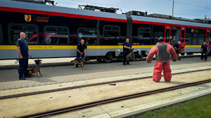 Policjant z psem służbowym podczas pozorowanego ataku w tle wagon pociągu.