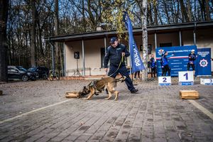 pokaz umiejętności psów służbowych.