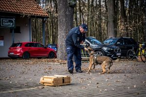 pokaz umiejętności psów służbowych.