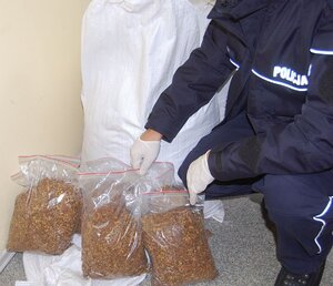 policjant z zabezpieczonym tytoniem