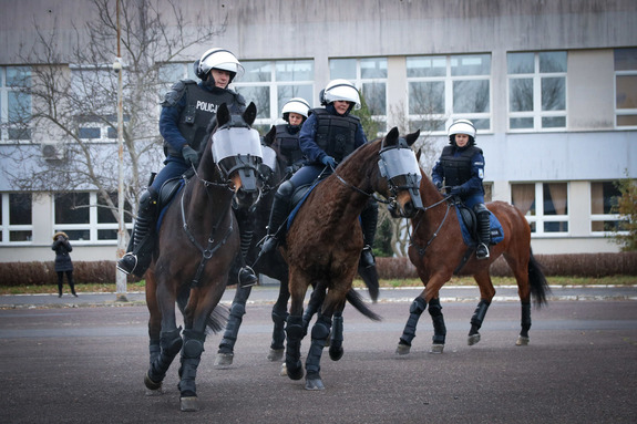 Policjanci na koniach.