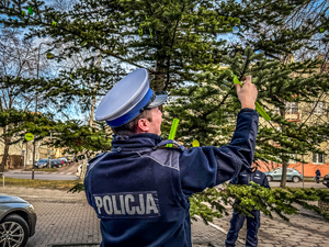 Policjant zakłada odblaski na choinkę