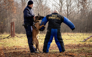 Policjant i pies, który atakuje agresora.