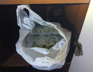 w torebce foliowej susz roślinny.