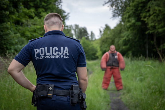 Pies służbowy atakuje pozoranta.