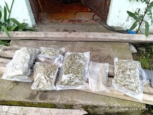 Susz roślinny popakowany w torby foliowe.