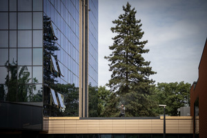 Terrorysta z dachu strzela.