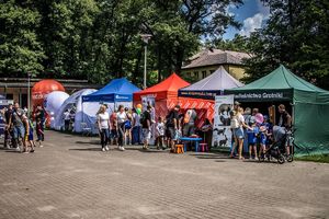 widok ogólny na stoiska podczas pikniku towarzyszącego.