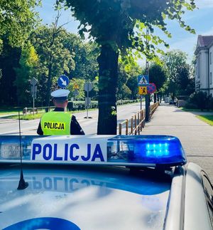 Policjant na tle radiowozu przy drodze.