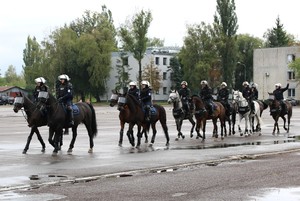 Policjanci na koniach w trakcie ćwiczeń.