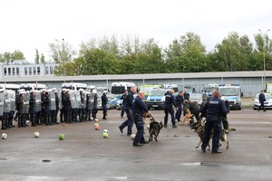 Policyjne pododdziały z psami służbowymi w trakcie ćwiczeń.