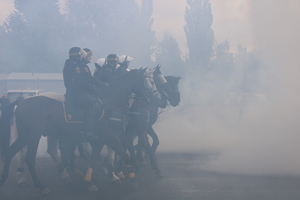 Policjanci na koniach w trakcie ćwiczeń.