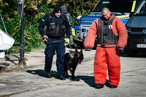 Funkcjonariusz  z psem służbowym prowadzą pozoranta.