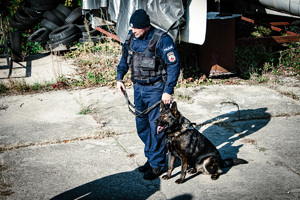 Policjant z psem służbowym.