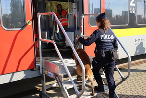 Policjantka z psem służbowym wchodzi do pociągu.