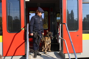 Policjantka z psem służbowym w trakcie ćwiczeń.