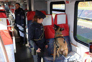 Policjantka z psem służbowym w trakcie ćwiczeń.