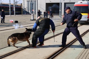 Policjanci z psem służbowym i pozorant w trakcie ćwiczeń.